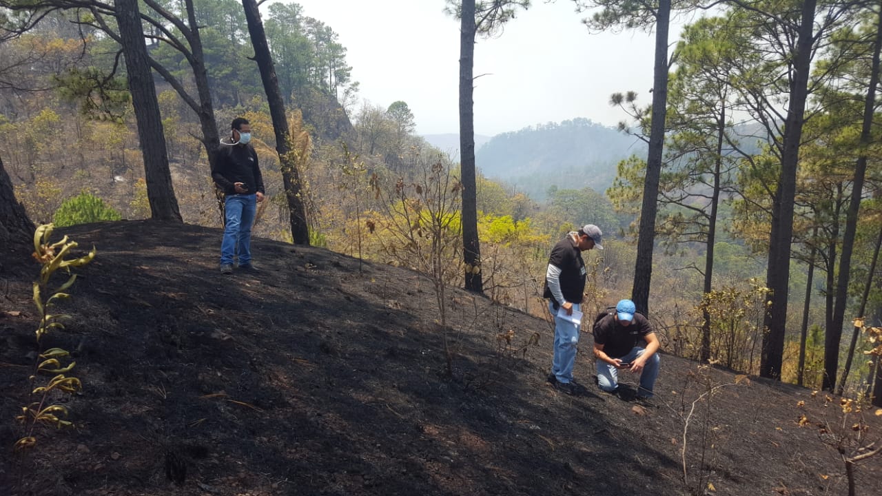 Fiscalía del Medio Ambiente investiga incendio forestal en La Oki, Comayagua