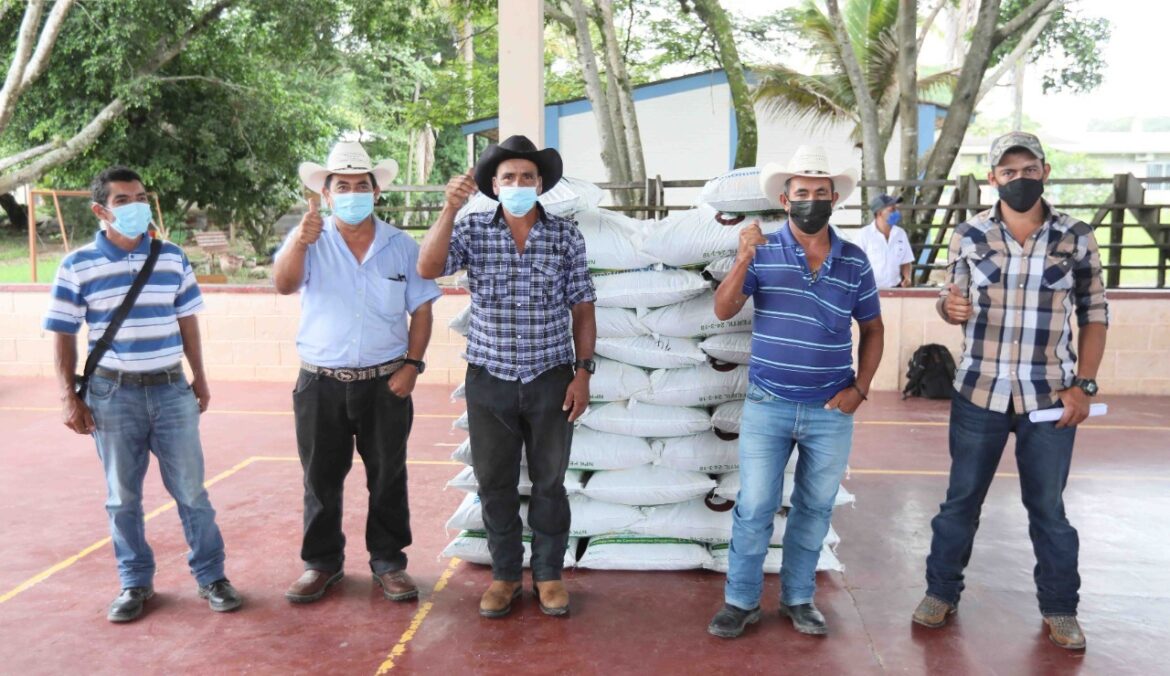 Bono Cafetalero: Presidente Hernández entrega 66.432 sacos de fertilizantes a 10.860 caficultores de Lempira