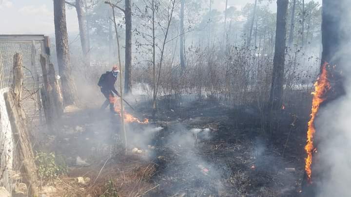 Aumentan los incendios en zacateras en Siguatepeque