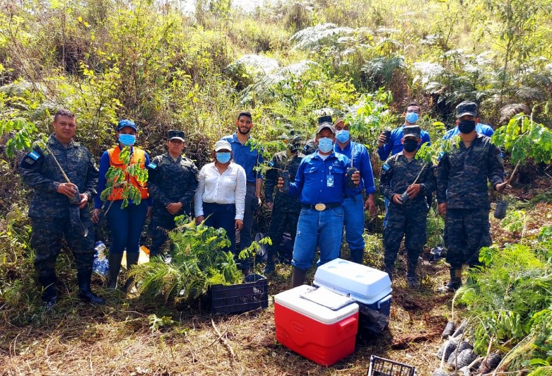Primer Batallón de Ingenieros, ICF, y Aguas de Siguatepeque reforestan la microcuenca Quebrada Chamalocuara