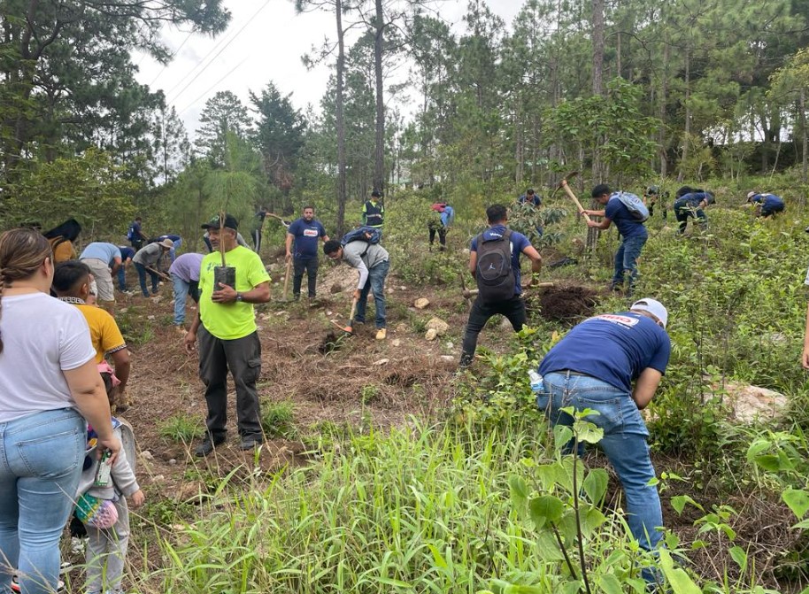 Voluntarios impulsan reforestación en El Picacho